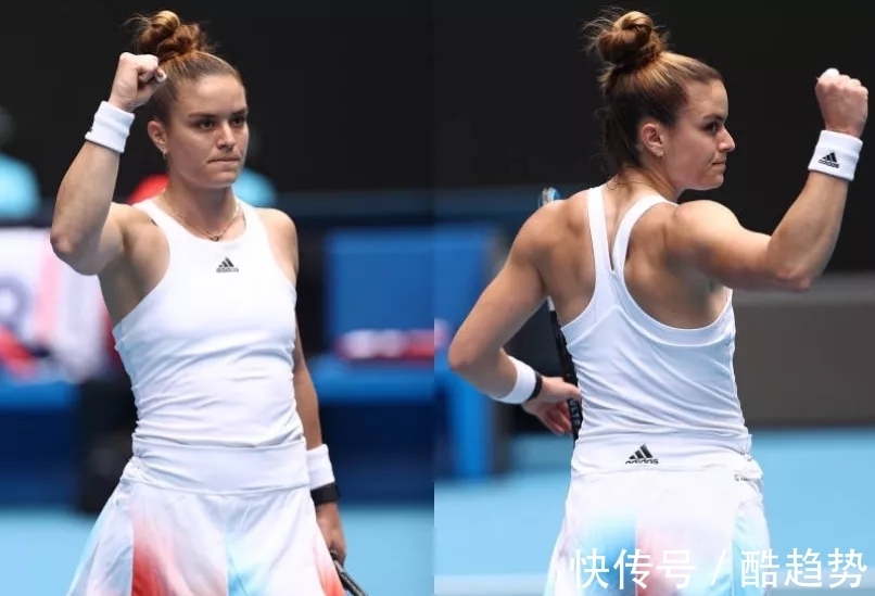 象的辩论持 象的辩论持